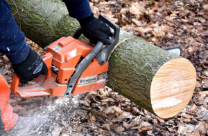 A Simple Guide to the Right Chainsaw for Homeowners