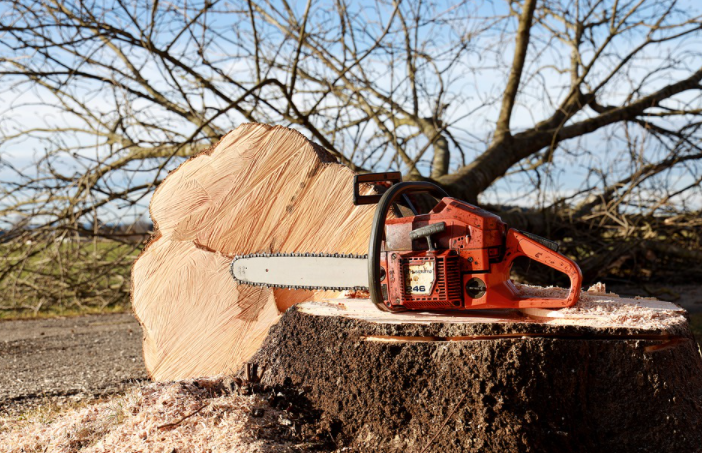 A Simple Guide to the Right Chainsaw for Homeowners
