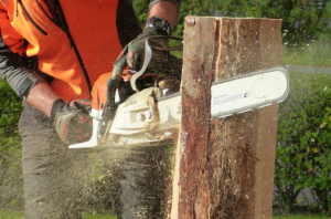 A Simple Guide to the Right Chainsaw for Homeowners
