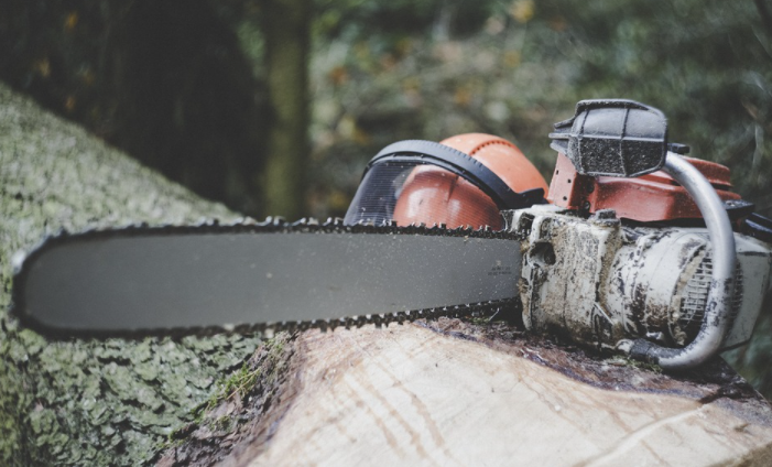 A Simple Guide to the Right Chainsaw for Homeowners
