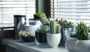 Simple Ways to Cheer Up Your Home for an Inspiring Quarantine