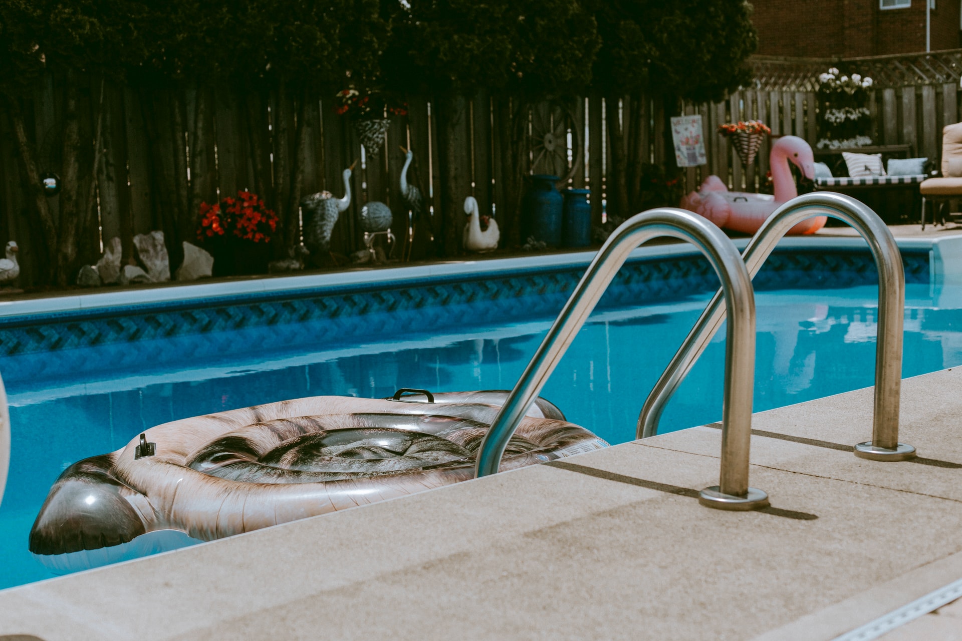 pool floats