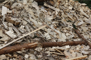 biomass system