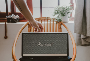 a speaker