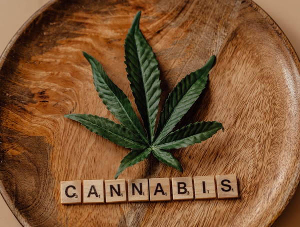 cannabis