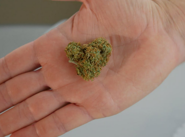 weed