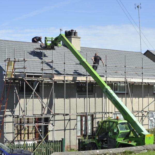 scaffold